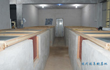 現(xiàn)代化養(yǎng)蛇基地